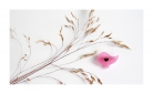 Segė „Mažasis paukštukas“ rožinė spalva